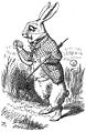 File:Alice-white-rabbit.jpg